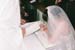 Will  Gayles Wedding 2008 CD608 (28)