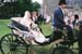 Will  Gayles Wedding 2008 CD686 (90)